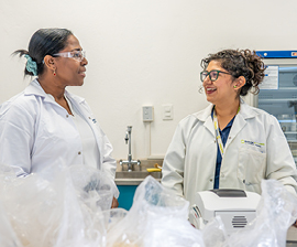 employé·e·s dédié·e·s aux rôles en Santé et Environnement